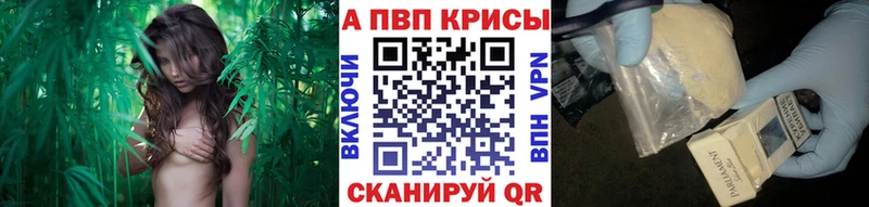 Alpha-PVP крисы CK  закладка  Хасавюрт 