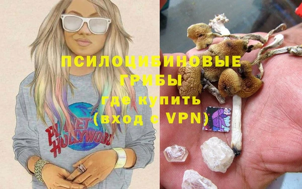 Альфа ПВП Касимов