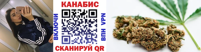 где продают наркотики  Хасавюрт  Шишки марихуана конопля 